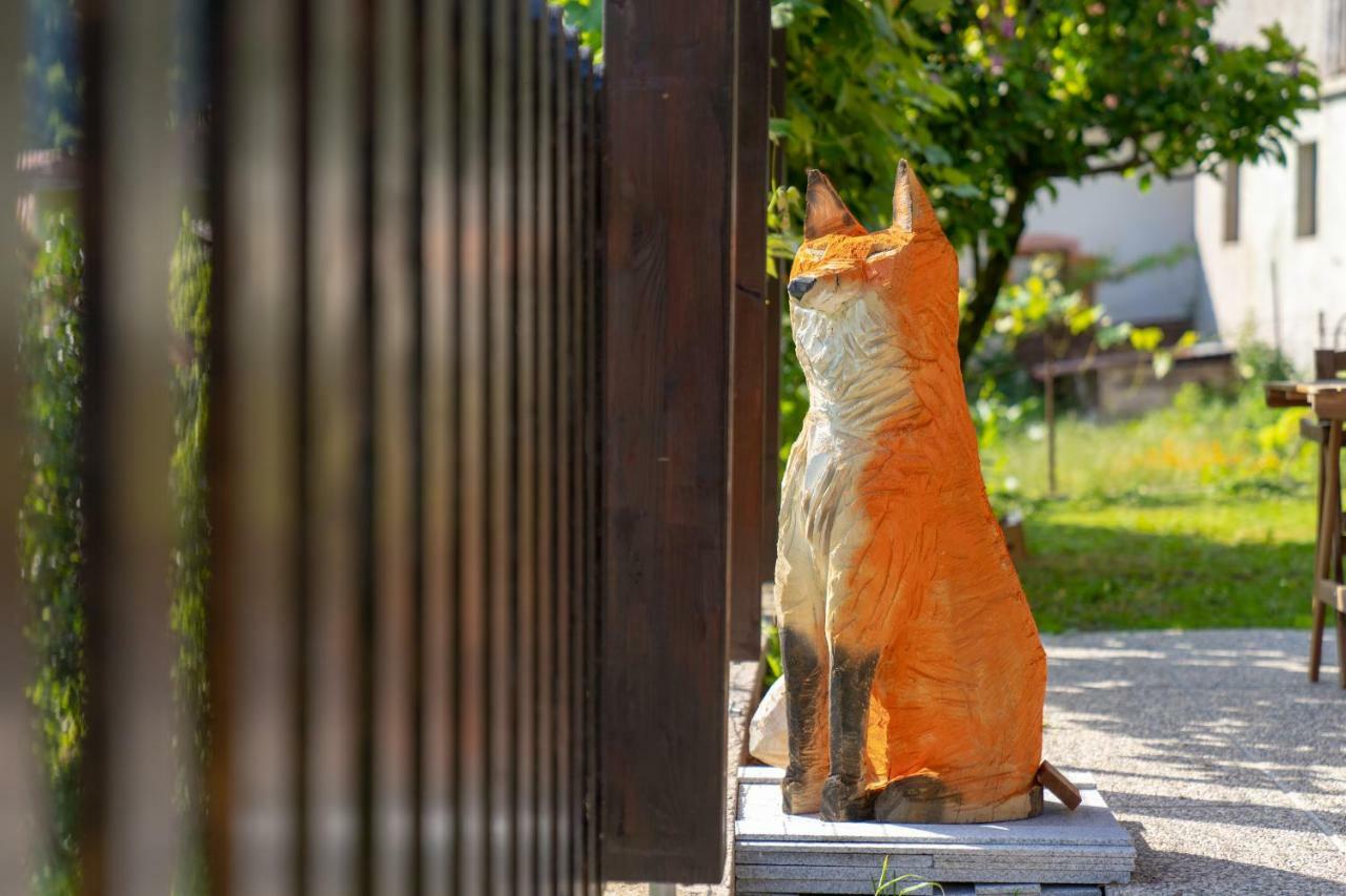 فندق The Foxhouse تولمين المظهر الخارجي الصورة