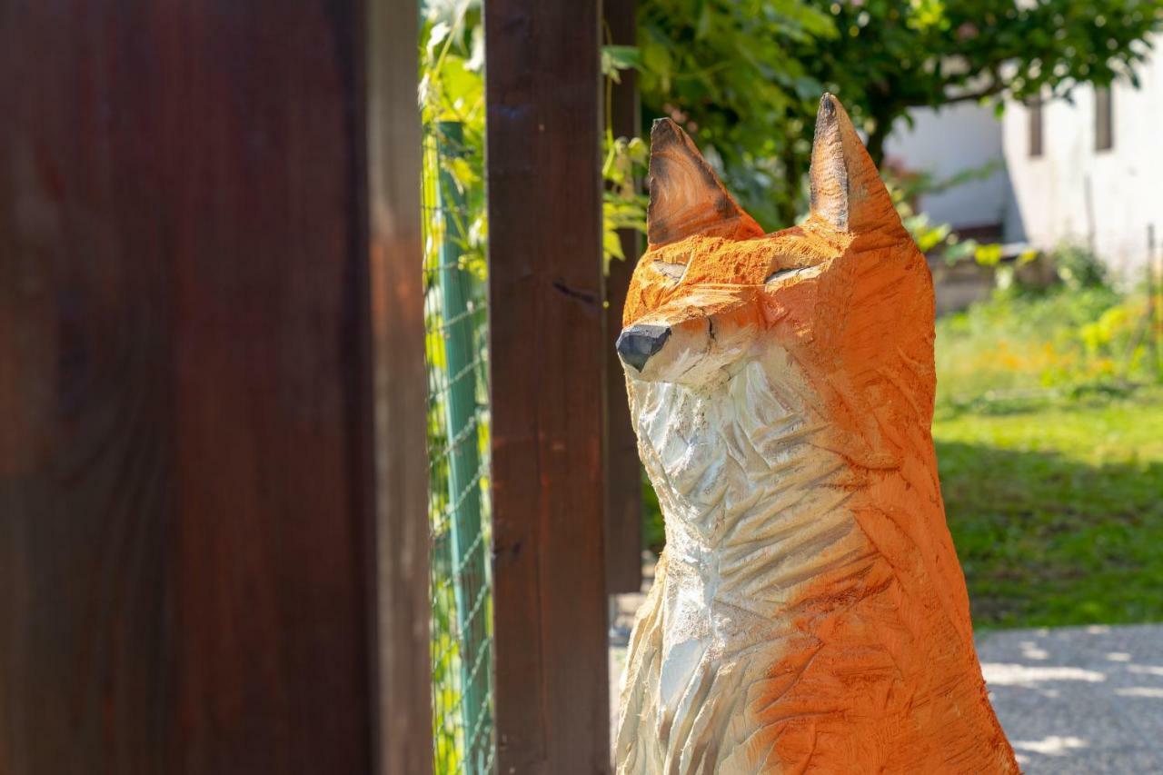 فندق The Foxhouse تولمين المظهر الخارجي الصورة